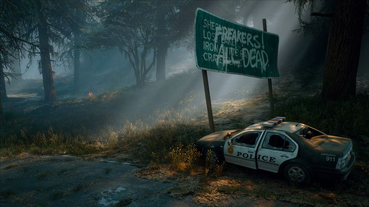 Days Gone - Broken Road DLC PC Steam CD Key