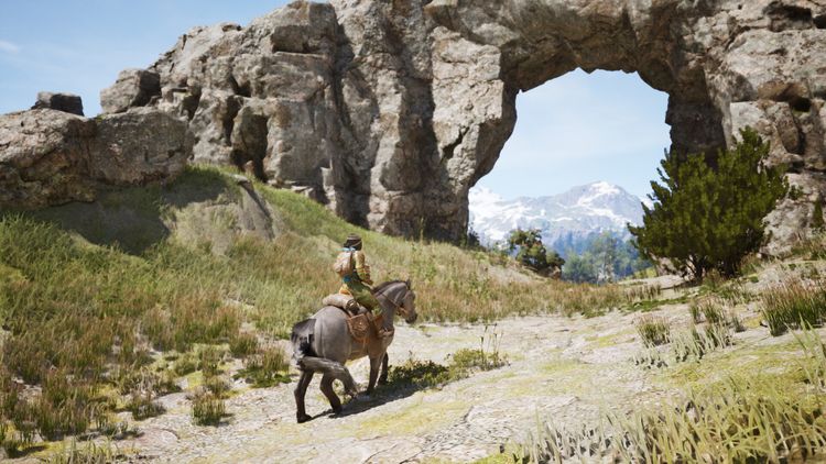 Windstorm: The Legend of Khiimori PC Steam Altergift