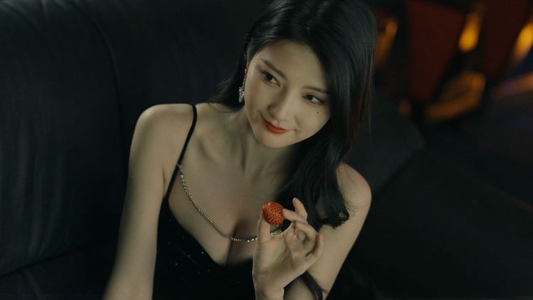 Vanity Fair: The Pursuit PC Steam Account