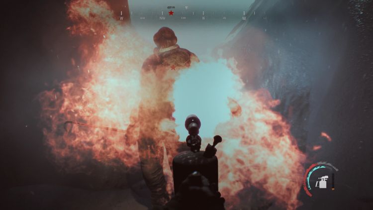 NEDRA PC Steam CD Key