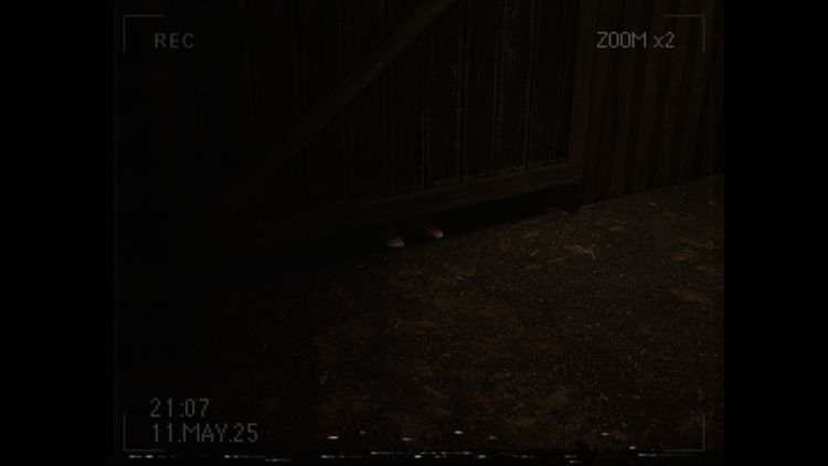 What Happened to Lily? PC Steam CD Key