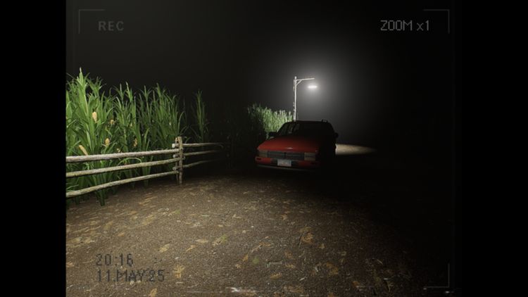 What Happened to Lily? PC Steam CD Key