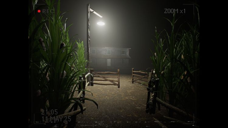 What Happened to Lily? PC Steam CD Key