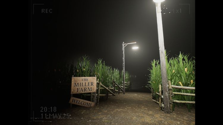 What Happened to Lily? PC Steam CD Key