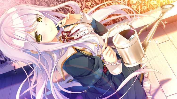 Primal Hearts 2 PC Steam CD Key