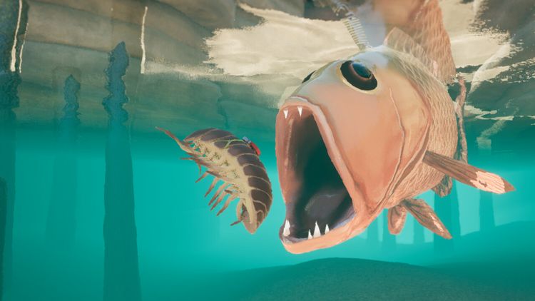 Isopod: A Webbed Spin-off PC Steam CD Key 