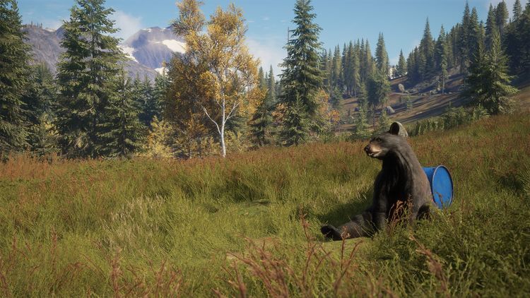 theHunter: Call of the Wild - Game Feeder Pack DLC PC Steam CD Key