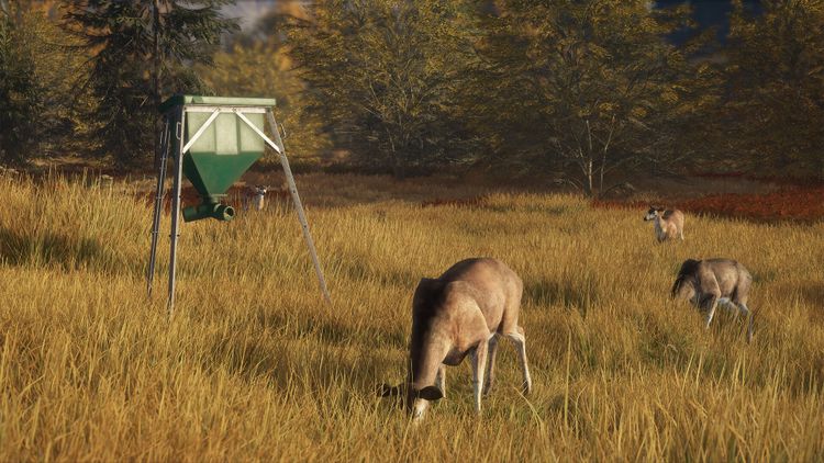 theHunter: Call of the Wild - Game Feeder Pack DLC PC Steam CD Key