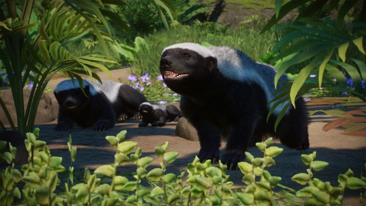 Planet Zoo: Asia Animal Pack DLC PC Steam CD Key