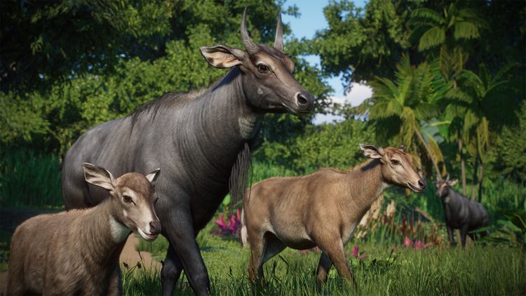 Planet Zoo: Asia Animal Pack DLC PC Steam CD Key