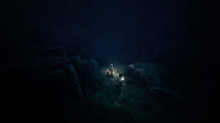 REANIMAL PRE-ORDER PC Steam CD Key