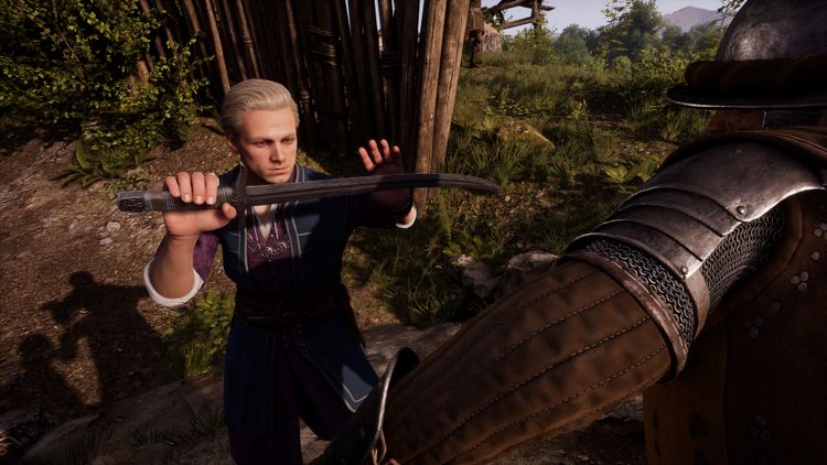 Medieval Dynasty - Exquisite Pack DLC PC Steam CD Key