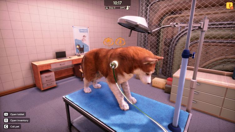 Animal Shelter 2 - Vet Clinic DLC PC Steam CD Key