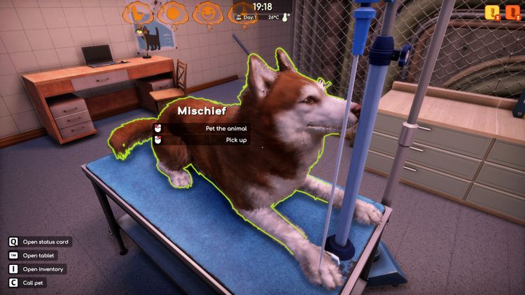 Animal Shelter 2 - Vet Clinic DLC PC Steam CD Key