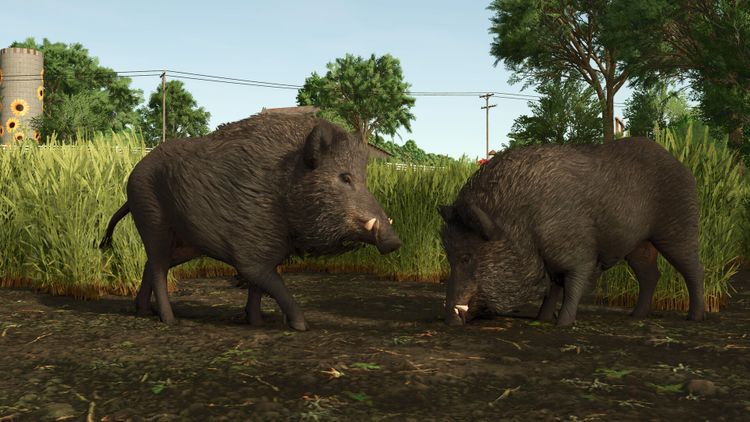 Farming Simulator 25 - Vredo Pack DLC PC Steam CD Key