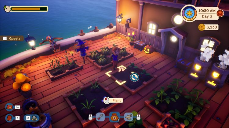 Collector's Cove PC Steam CD Key