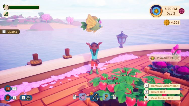 Collector's Cove PC Steam CD Key