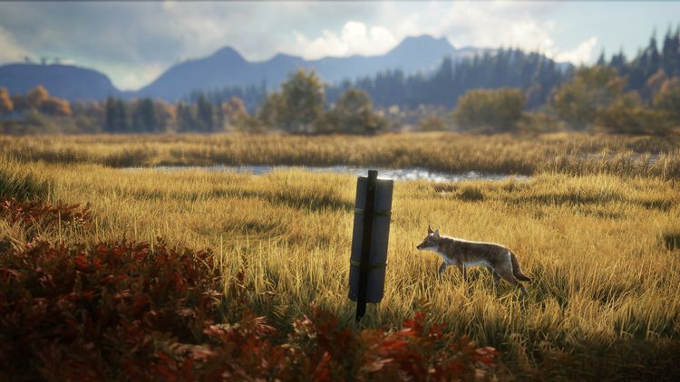 theHunter: Call of the Wild - Game Feeder Pack 2 DLC PC Steam CD Key