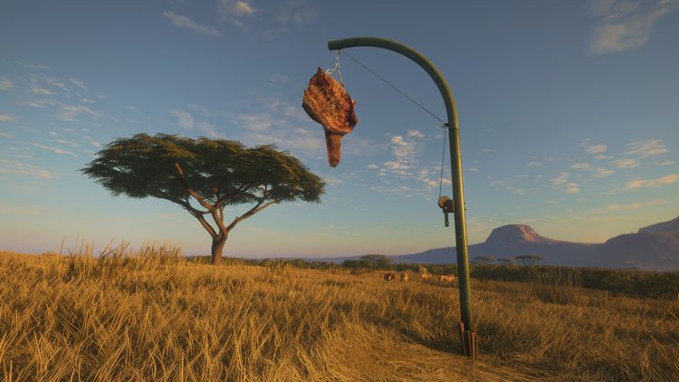 theHunter: Call of the Wild - Game Feeder Pack 2 DLC PC Steam CD Key