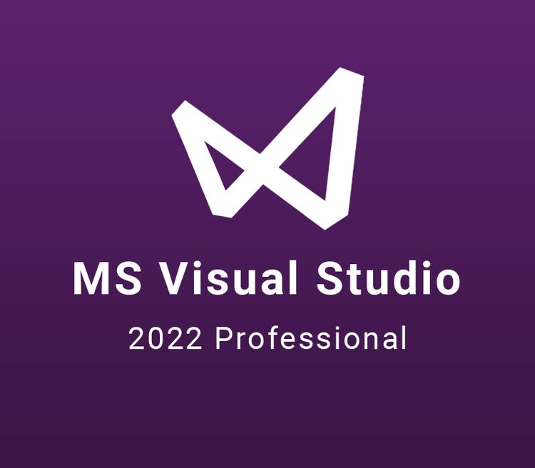 MS Visual Studio 2022 Professional CD Key Buy Cheap On Kinguin