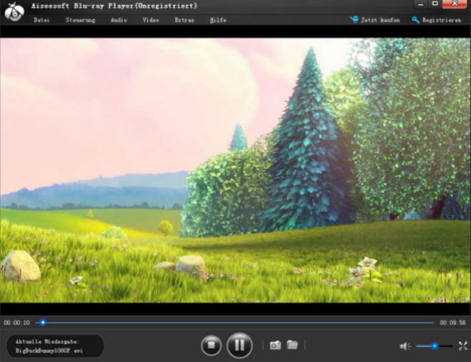 Aiseesoft Blu-Ray Player Key (1 Year / 1 PC)