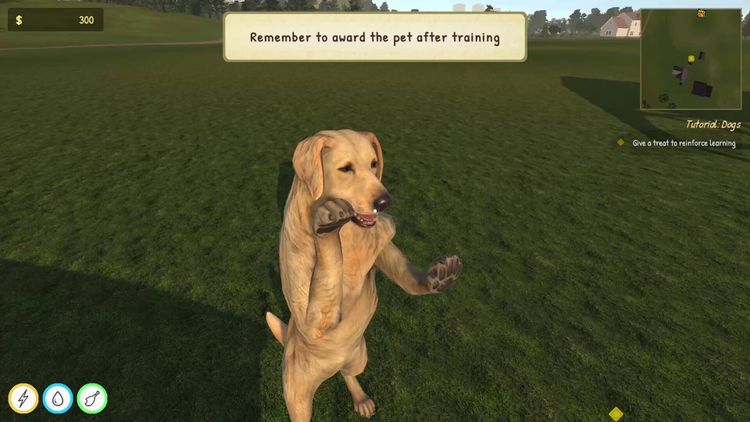 Animal Trainer Simulator PC Steam CD Key