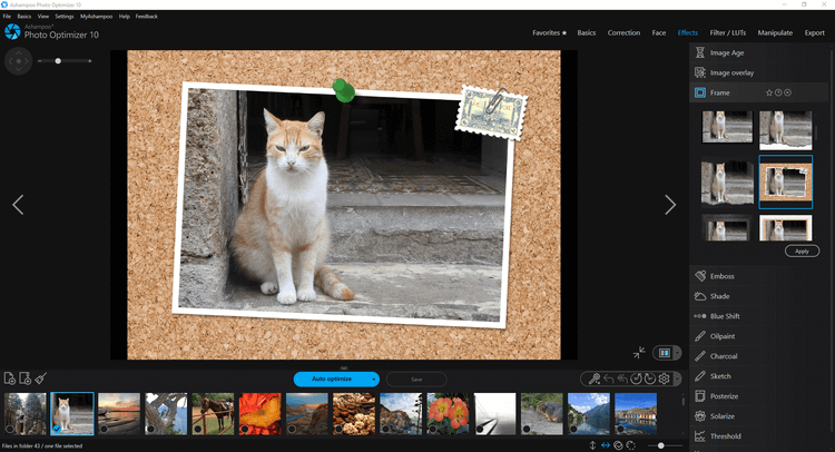 Ashampoo Photo Optimizer 10 Activation Key
