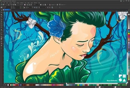 CorelDRAW Graphics Suite 2018 Key (1 Device)