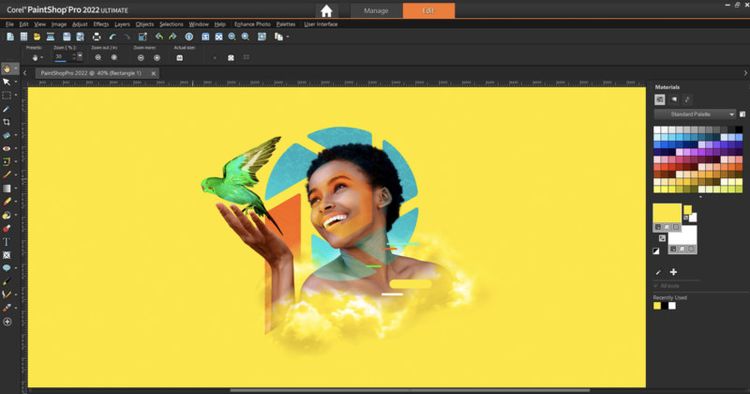 Corel Paintshop Pro 2022 CD Key