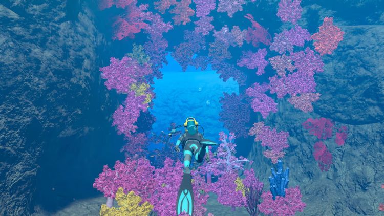 Endless Ocean Luminous Nintendo Switch Access