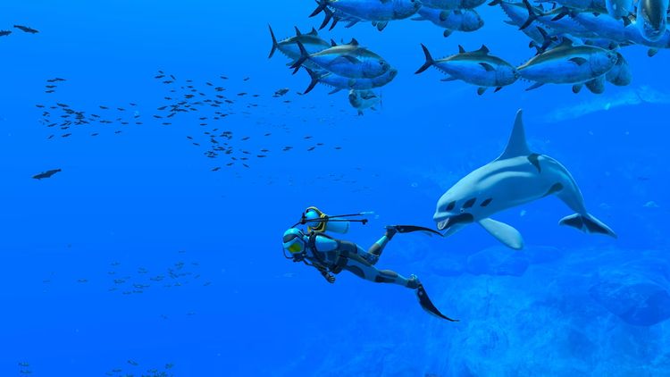 Endless Ocean Luminous Nintendo Switch Access