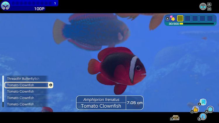 Endless Ocean Luminous Nintendo Switch Access