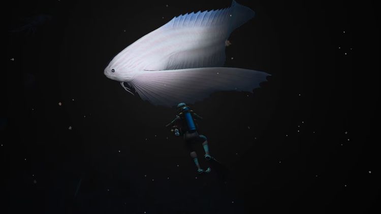 Endless Ocean Luminous Nintendo Switch Access