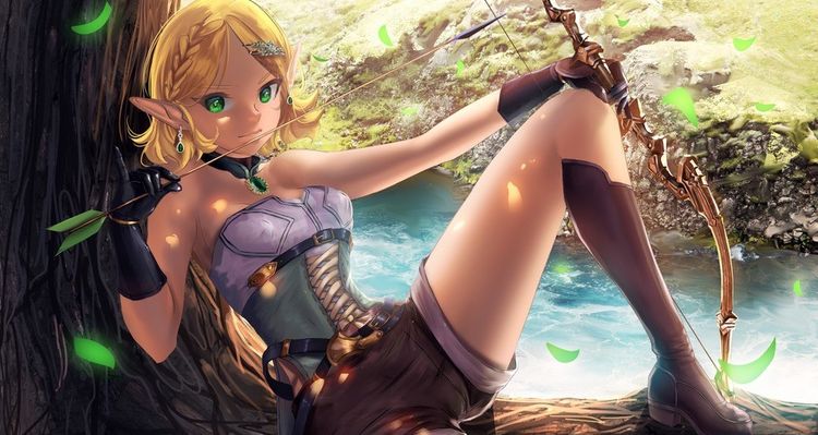 Hentai Cosplay Elf PC Steam CD Key