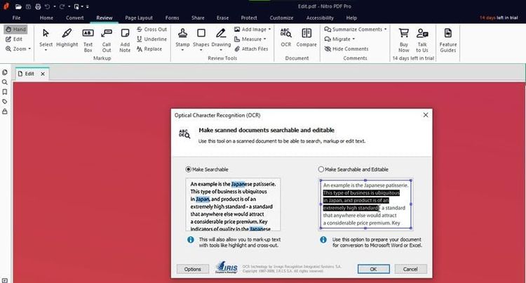Nitro PDF Pro 14 CD Key