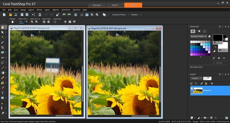Corel Paintshop Pro X7 CD Key