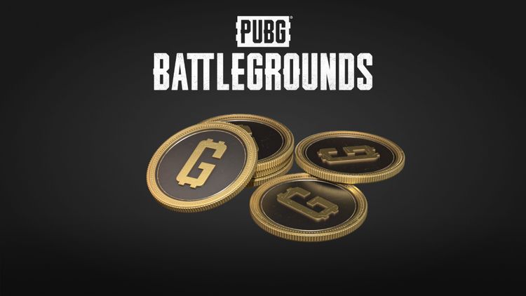 PUBG - 11200 G-Coins PC Steam CD Key