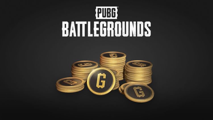PUBG - 1050 G-Coins PC Steam CD Key