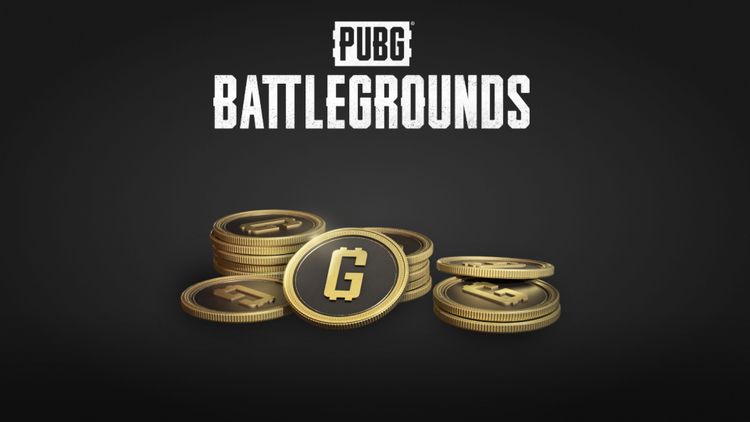 PUBG - 510 G-Coins PC Steam CD Key