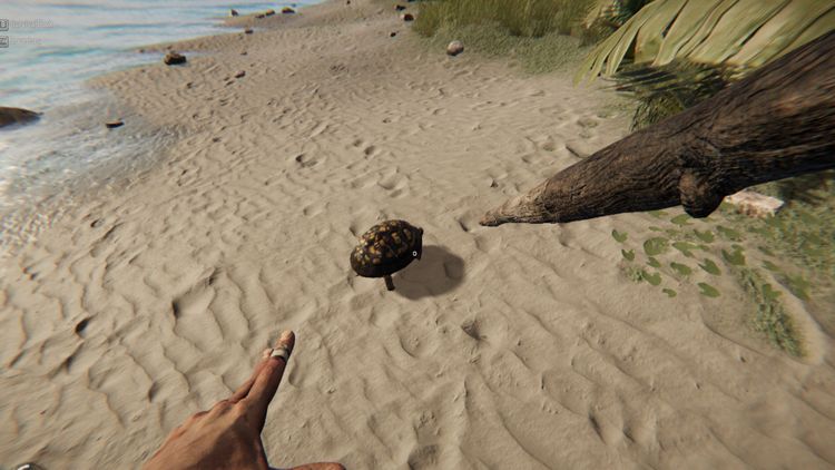 Project Castaway PC Steam CD Key