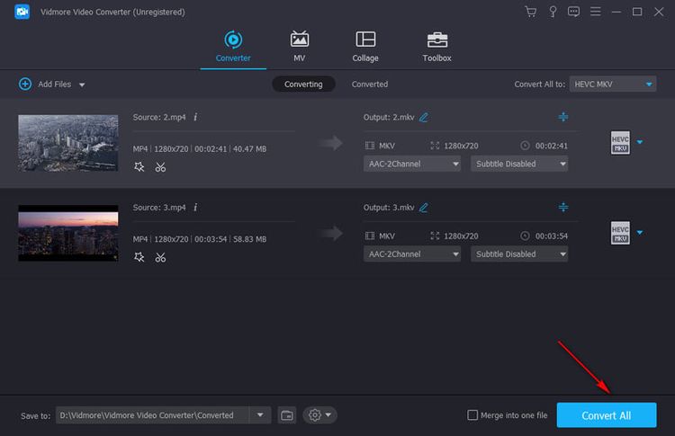 Vidmore Video Converter Key (1 Year / 1 PC)