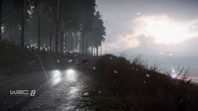 WRC 8 FIA World Rally Championship Season Pass Steam CD Key