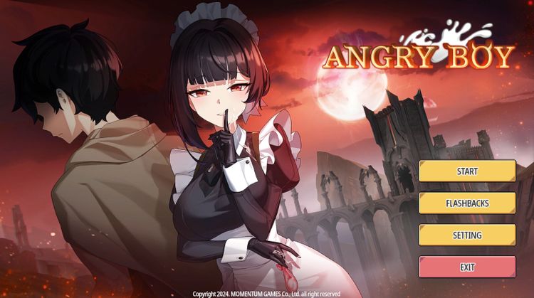 Angry Boy PC Steam CD Key