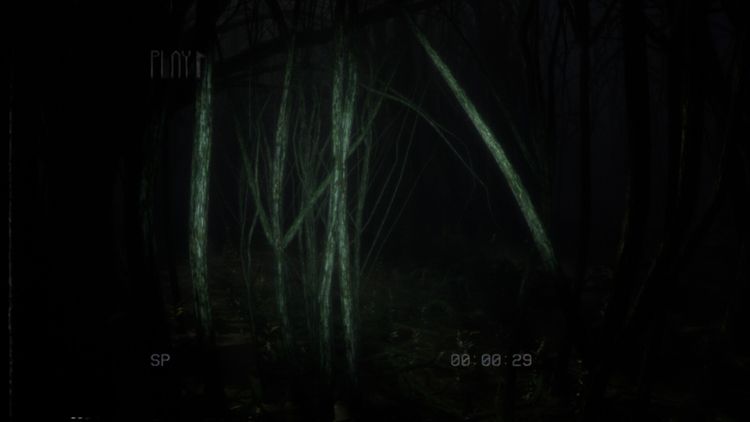 Backrooms Media PC Steam CD Key