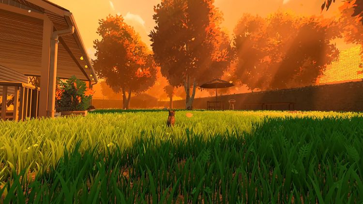 Copycat PC Steam CD Key