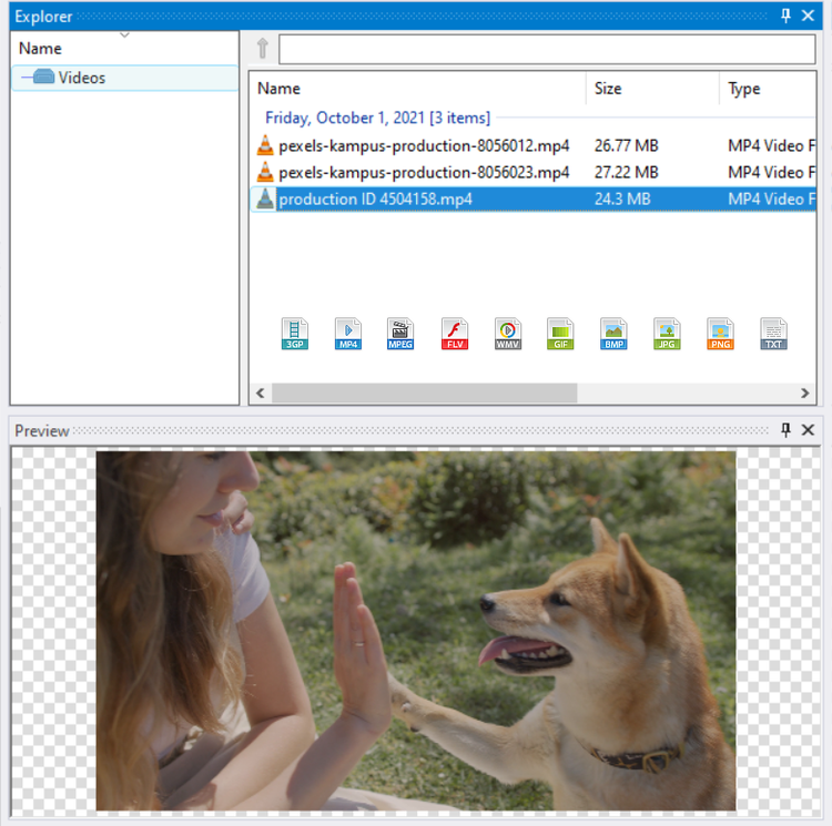 RBSoft: Easy Disk Catalog Maker CD Key