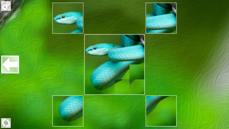 Puzzle Art: Snakes PC Steam CD Key