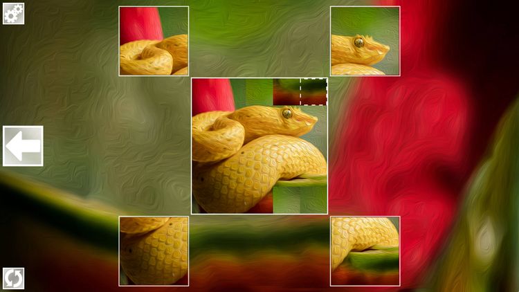 Puzzle Art: Snakes PC Steam CD Key