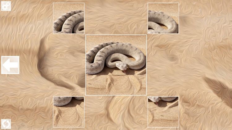 Puzzle Art: Snakes PC Steam CD Key