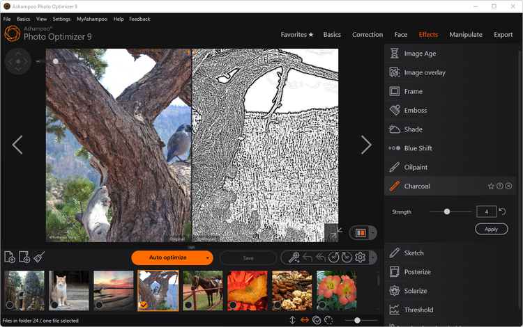 Ashampoo Photo Optimizer 9 Activation Key